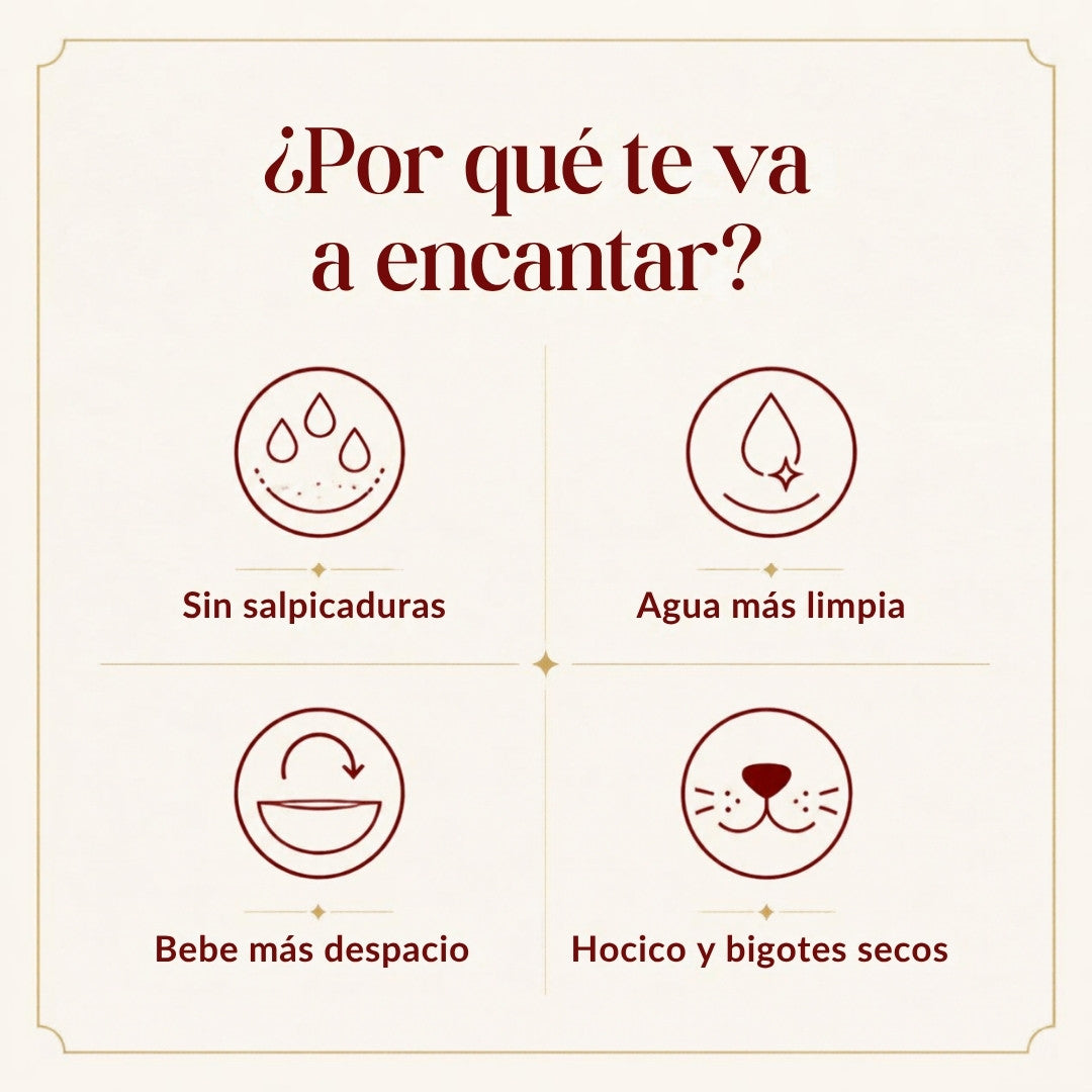 Por qué te va a encantar el bebedero antisalpicaduras